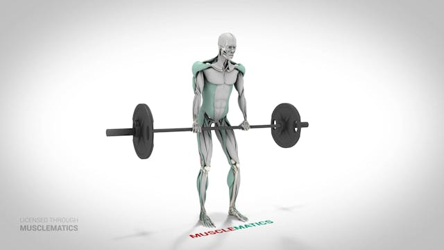 Stiff-Legged Deadlifts - (View 2)