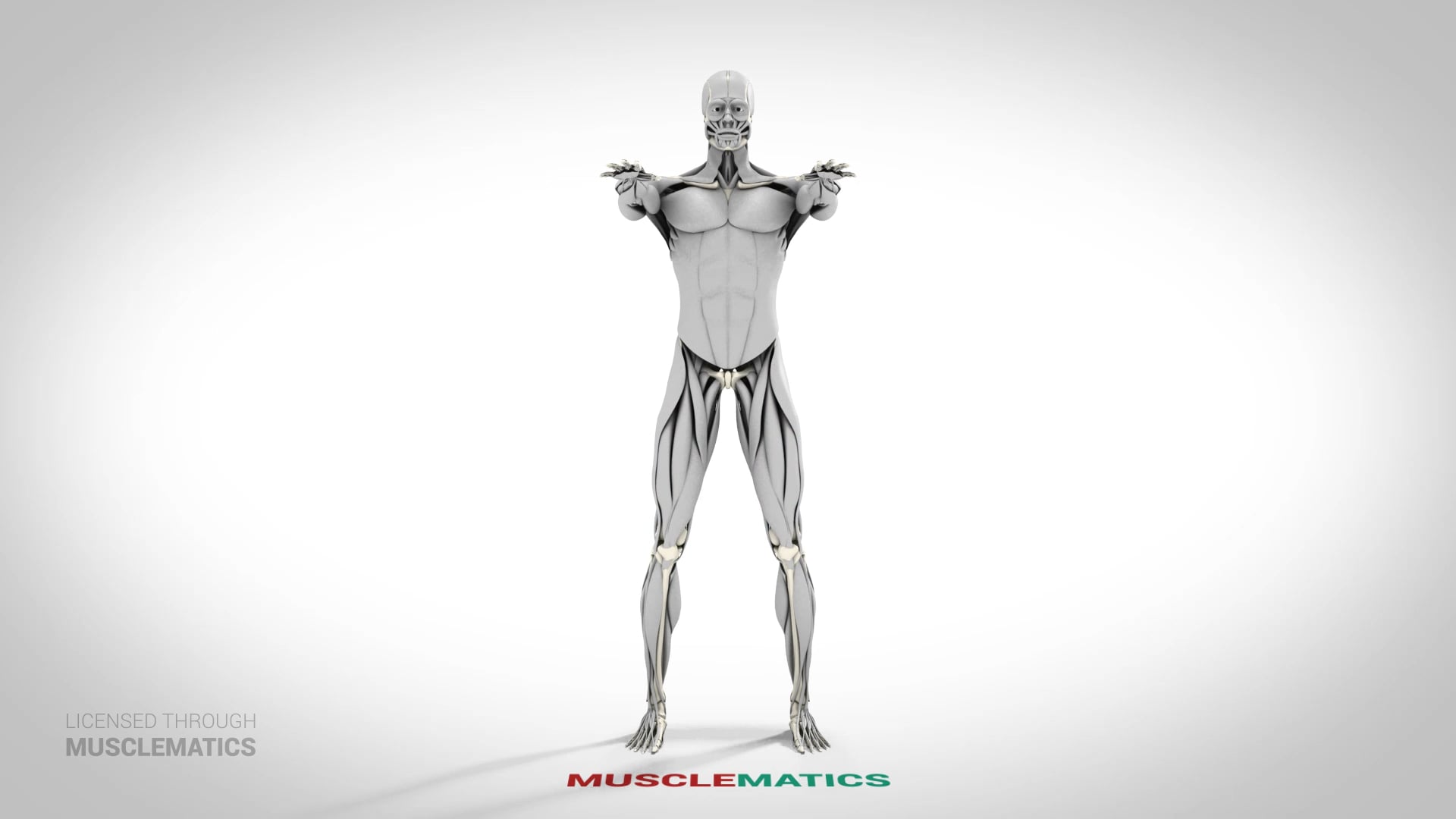 Full Squat - (View 1)