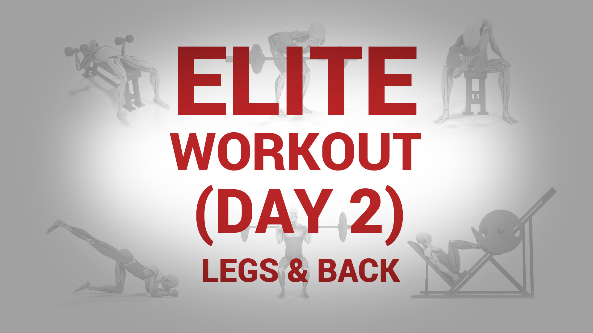 Elite Workout (Day 2) - LEGS & BACK