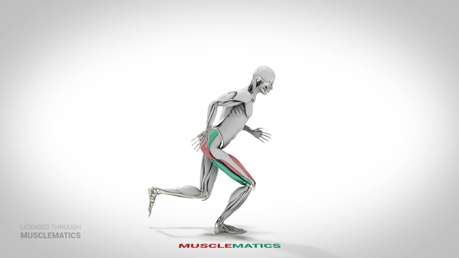 Skater Squat - (View 1)