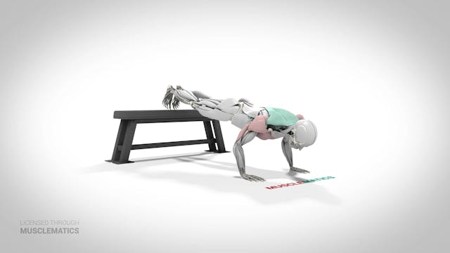 Decline Push-Up - (View 1)