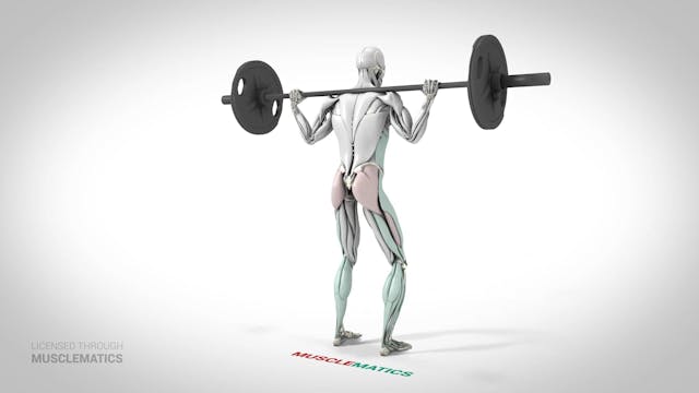 Barbell Squats - (View 3)