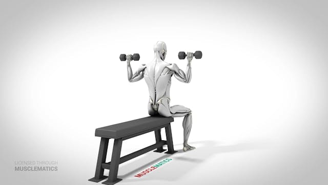 Seated Dumbbell Presses - (View 3)