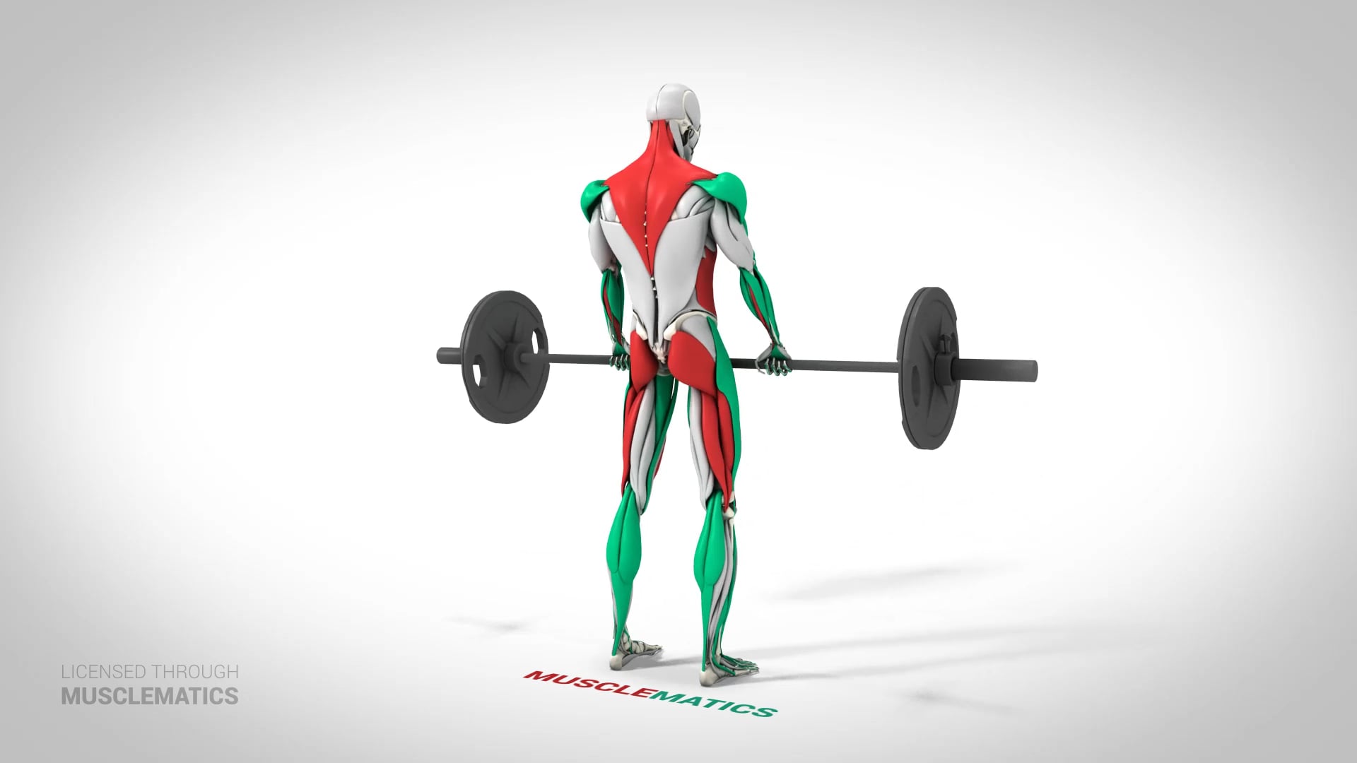 Deadlifts - (View 3)