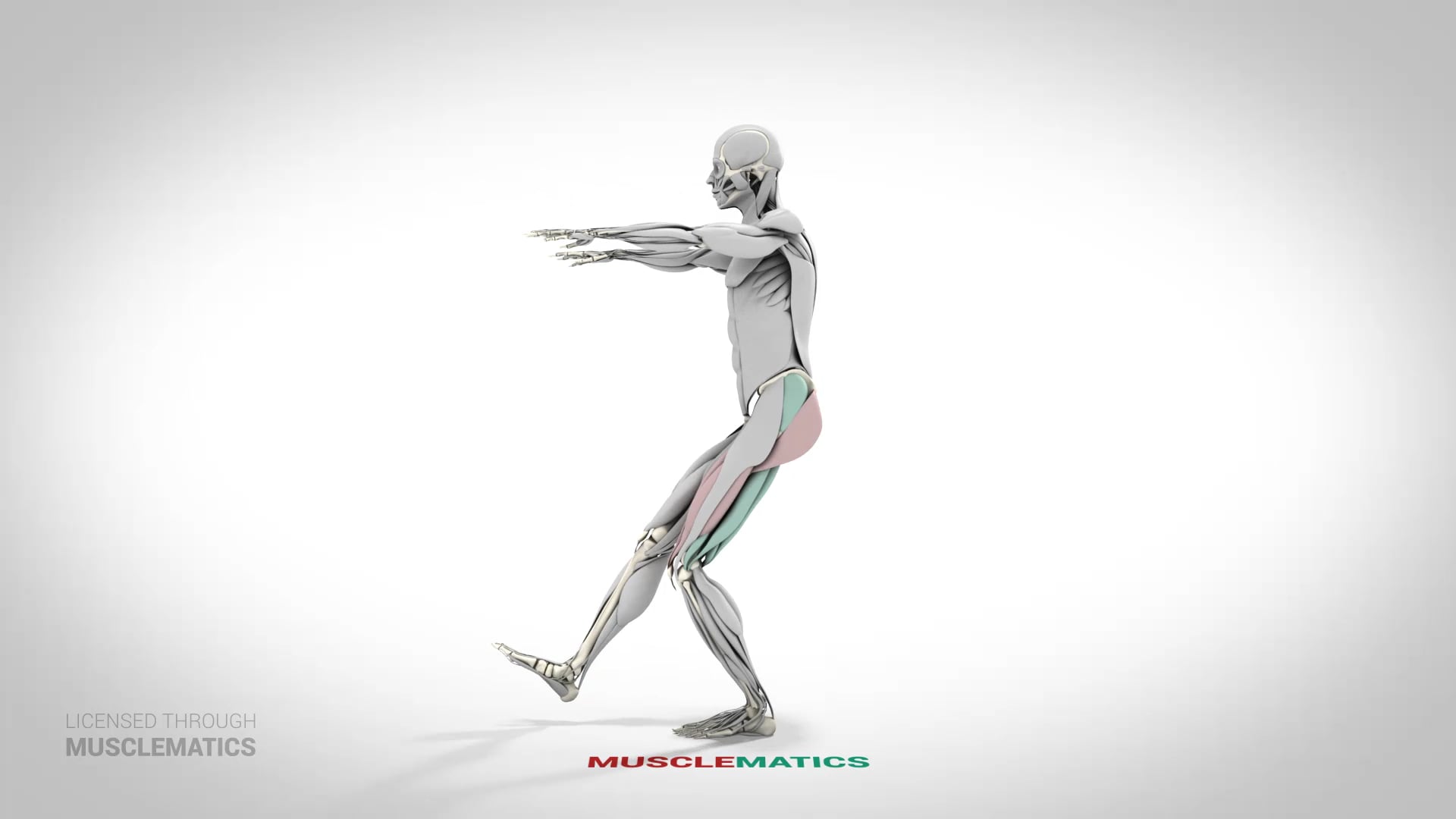 Pistol Squat - (View 2) - LEFT