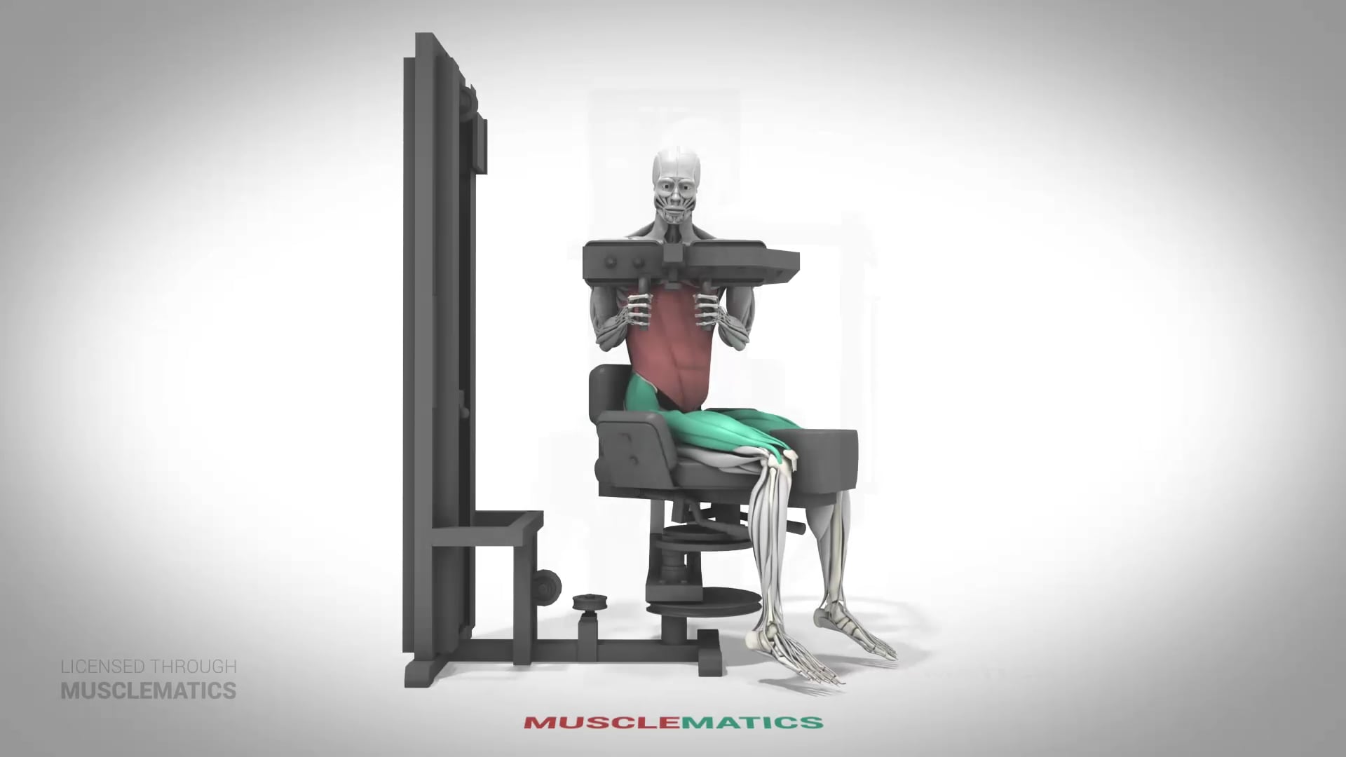 Machine Trunk Rotations - (All Views) - LEFT