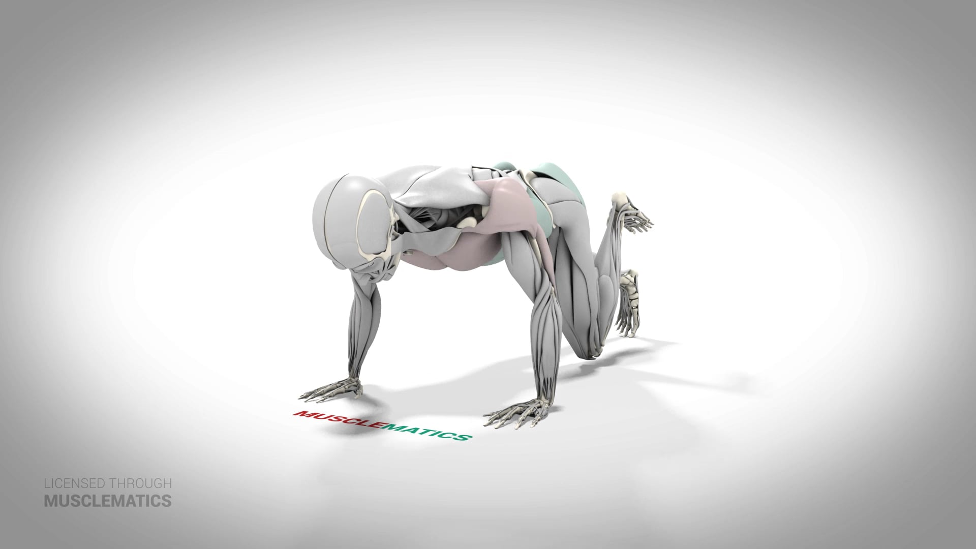 Push-Up With Hip Extension - (All Views) - LEFT