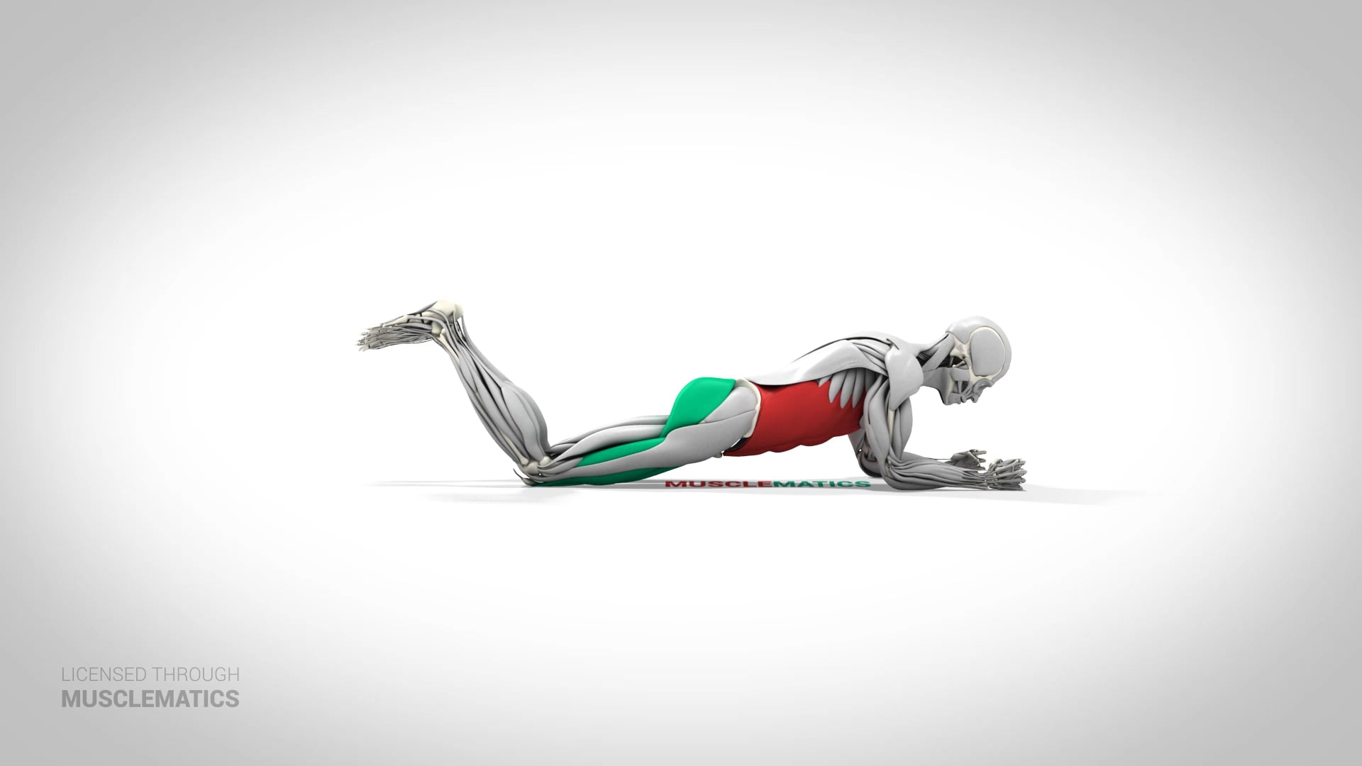 Plank On Knees - (View 1)