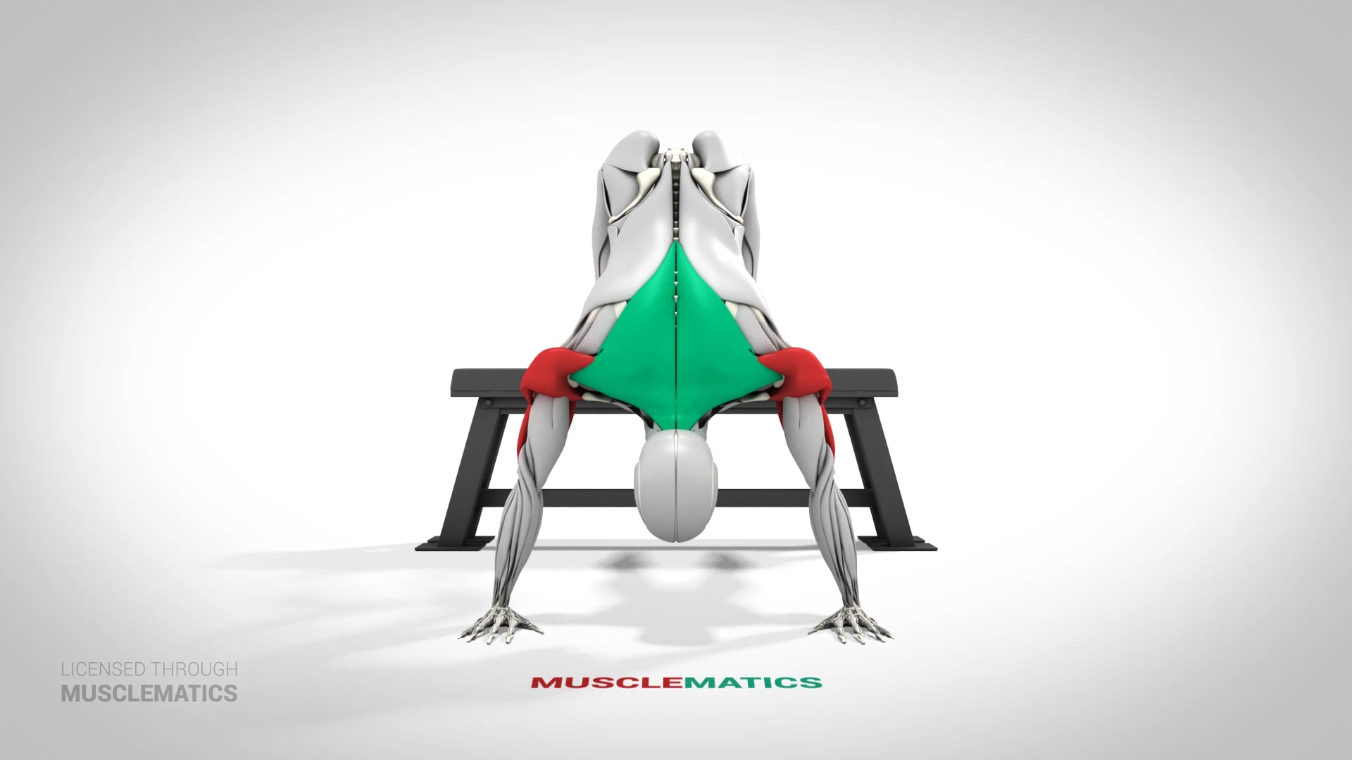 Incline Pike Push-Up - (View 3)