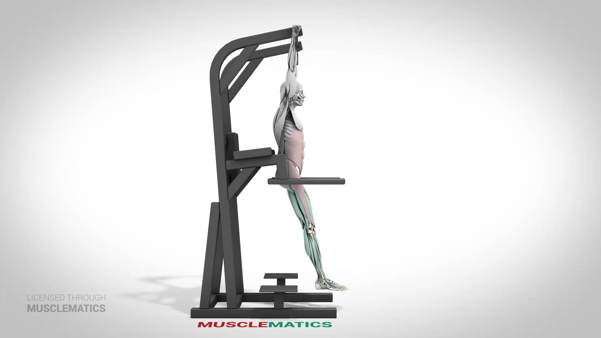 Hanging Leg Raises (Straight Leg) - (View 1)