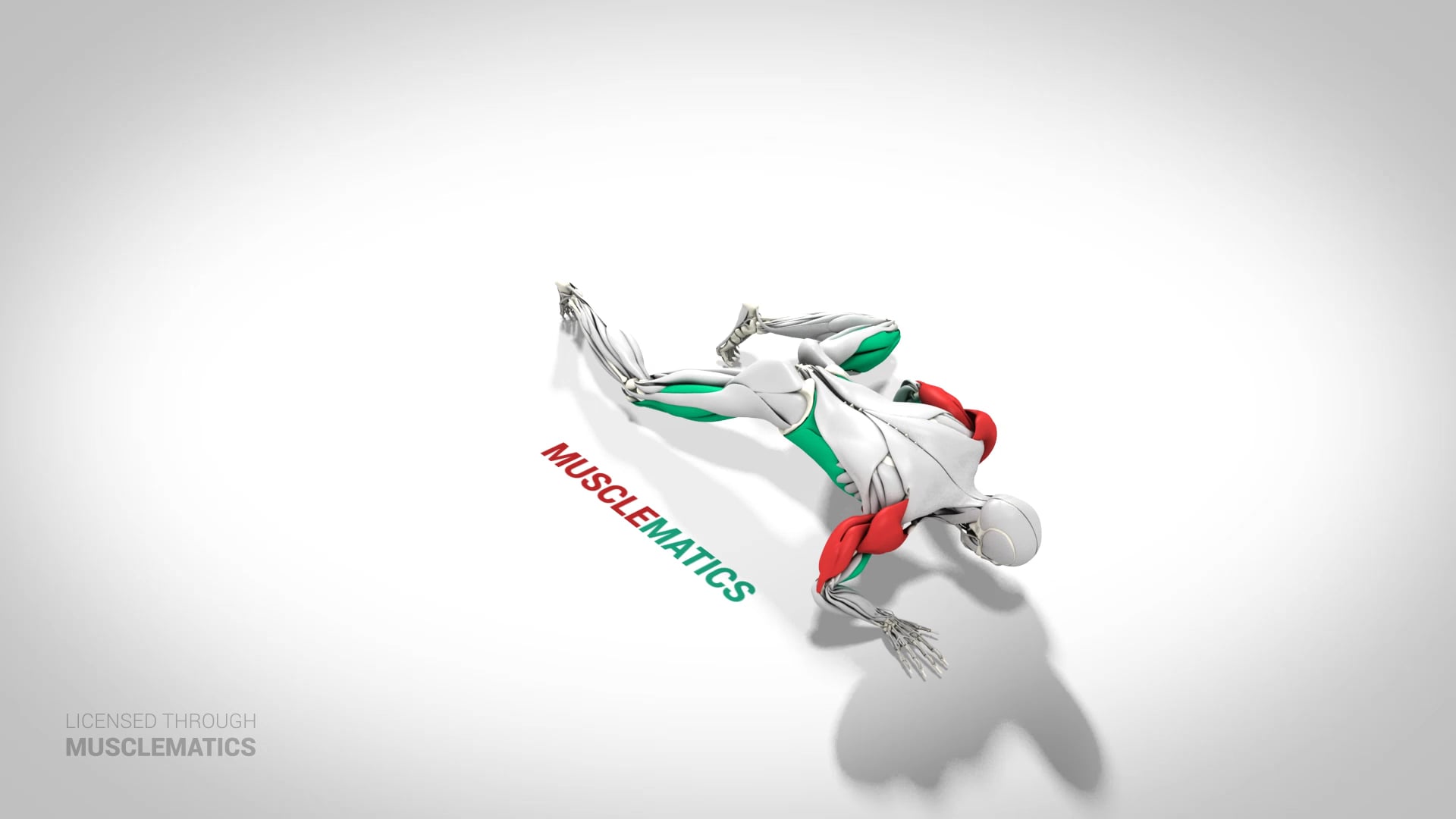 Crocodile Crawl - (View 2)