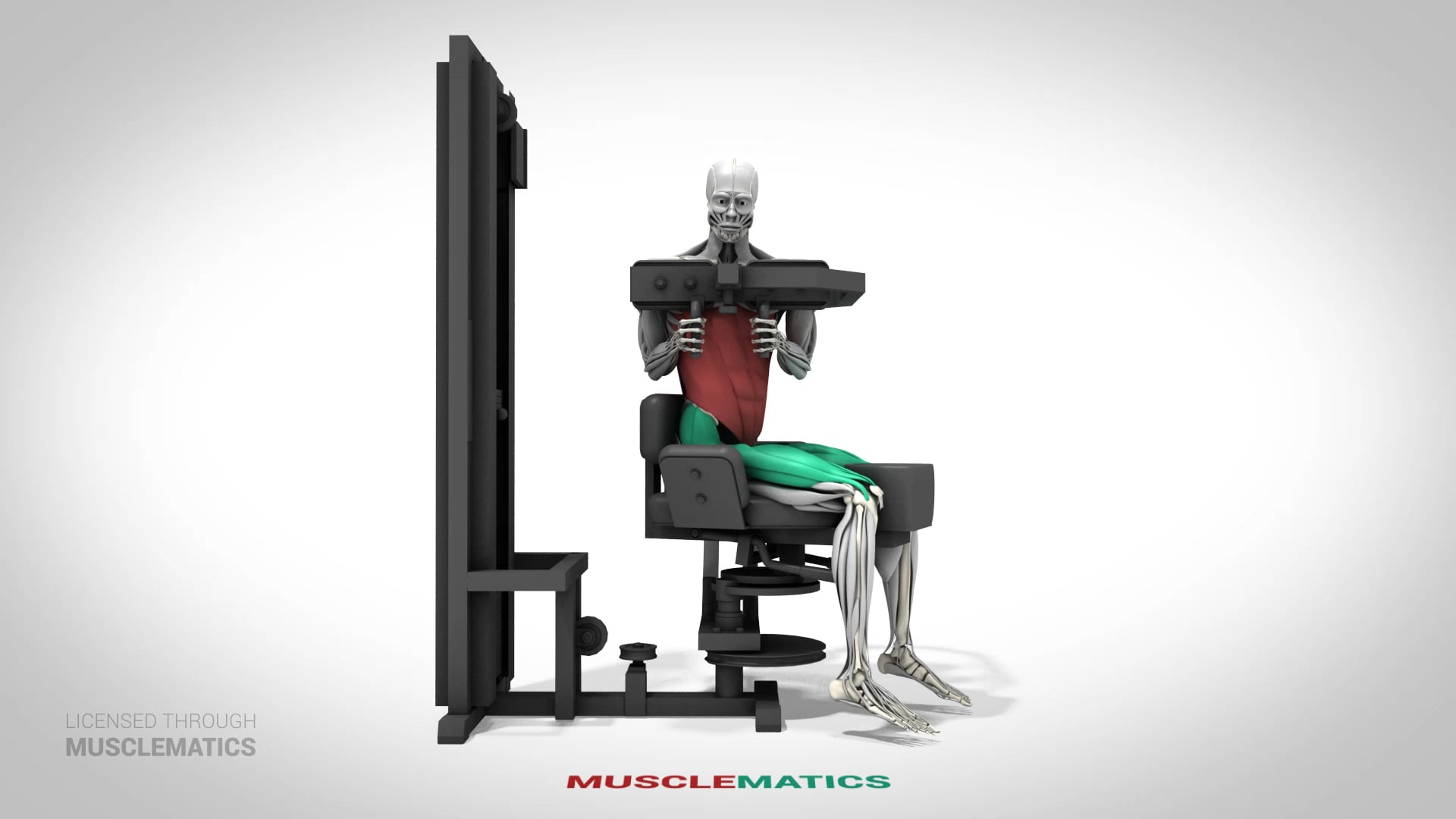 Machine Trunk Rotations - (View 1) - LEFT