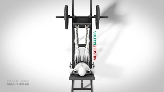 Angled Leg Presses - (View 1)