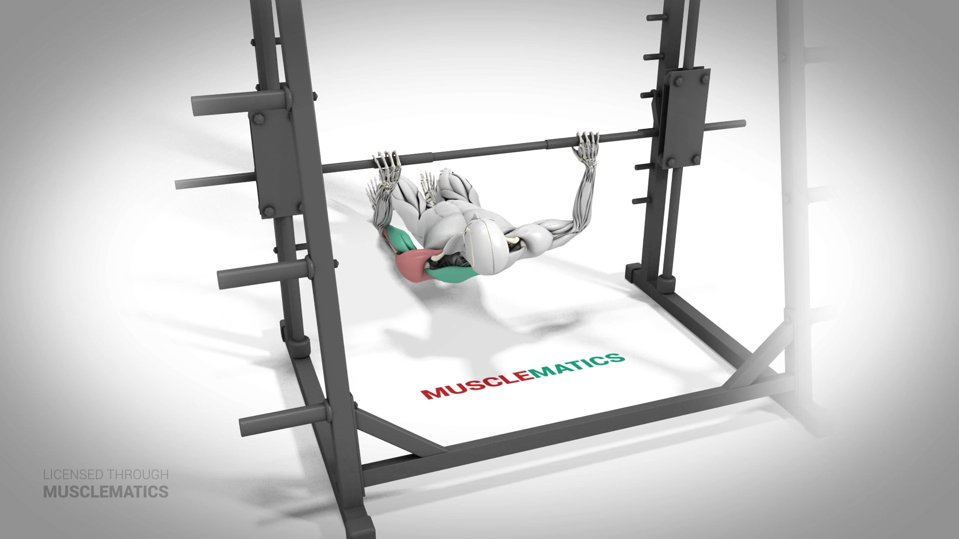 Side-To-Side Inverted Row - (All Views) - LEFT