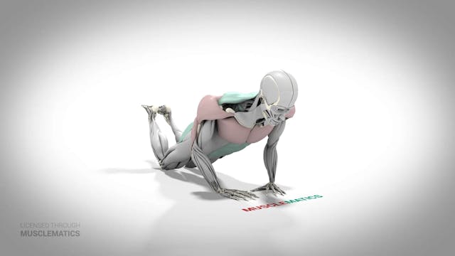 Diamond Triceps Push-Up On Knees - (A...