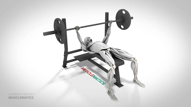 Bench Presses - (View 1)