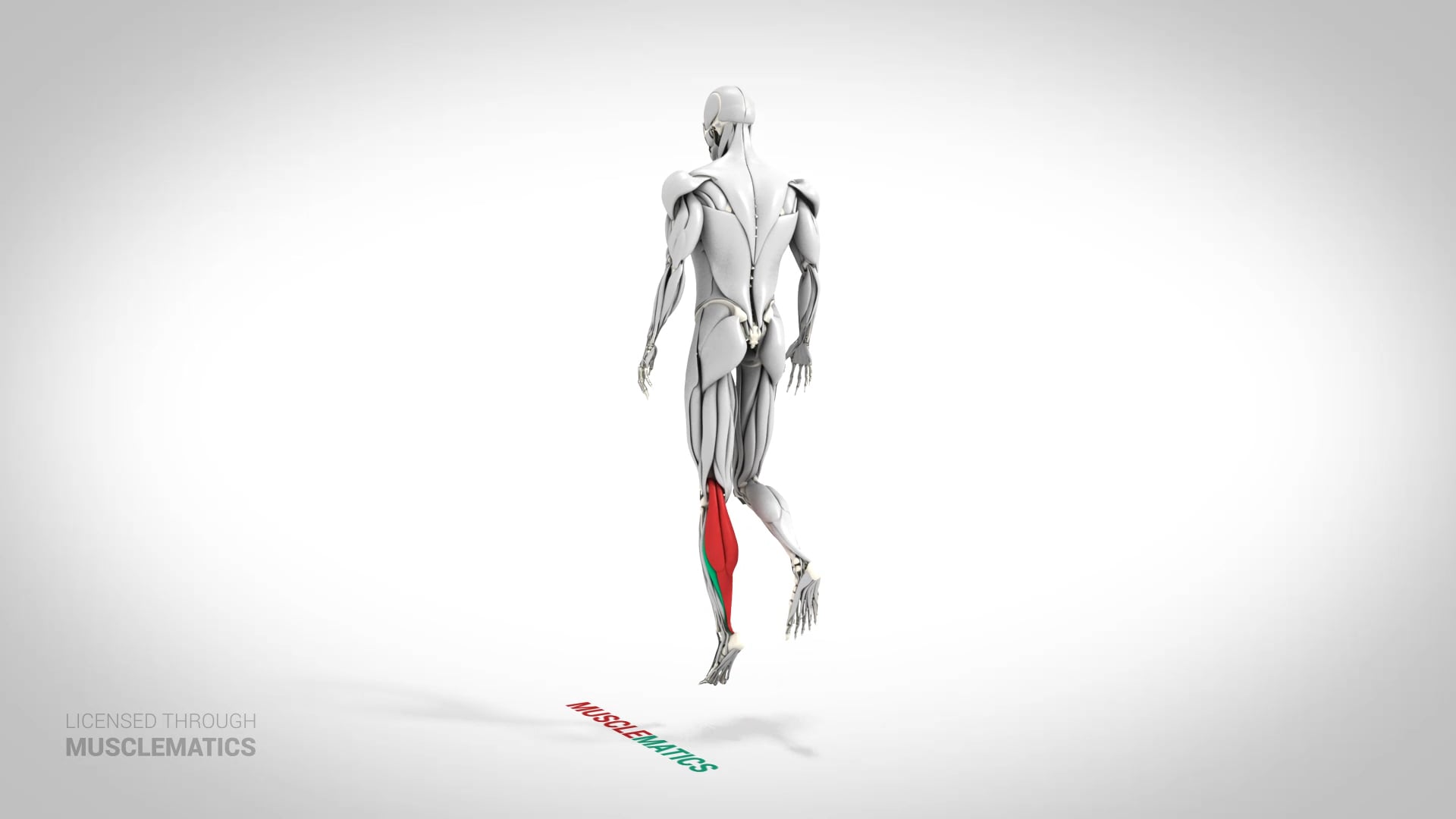 Single-Leg Ankle Hop - (View 3) - LEFT