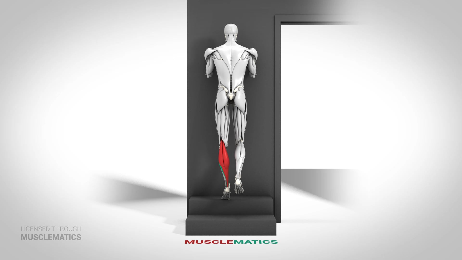 Single-Leg Elevated Calf Raise - (View 1) - LEFT