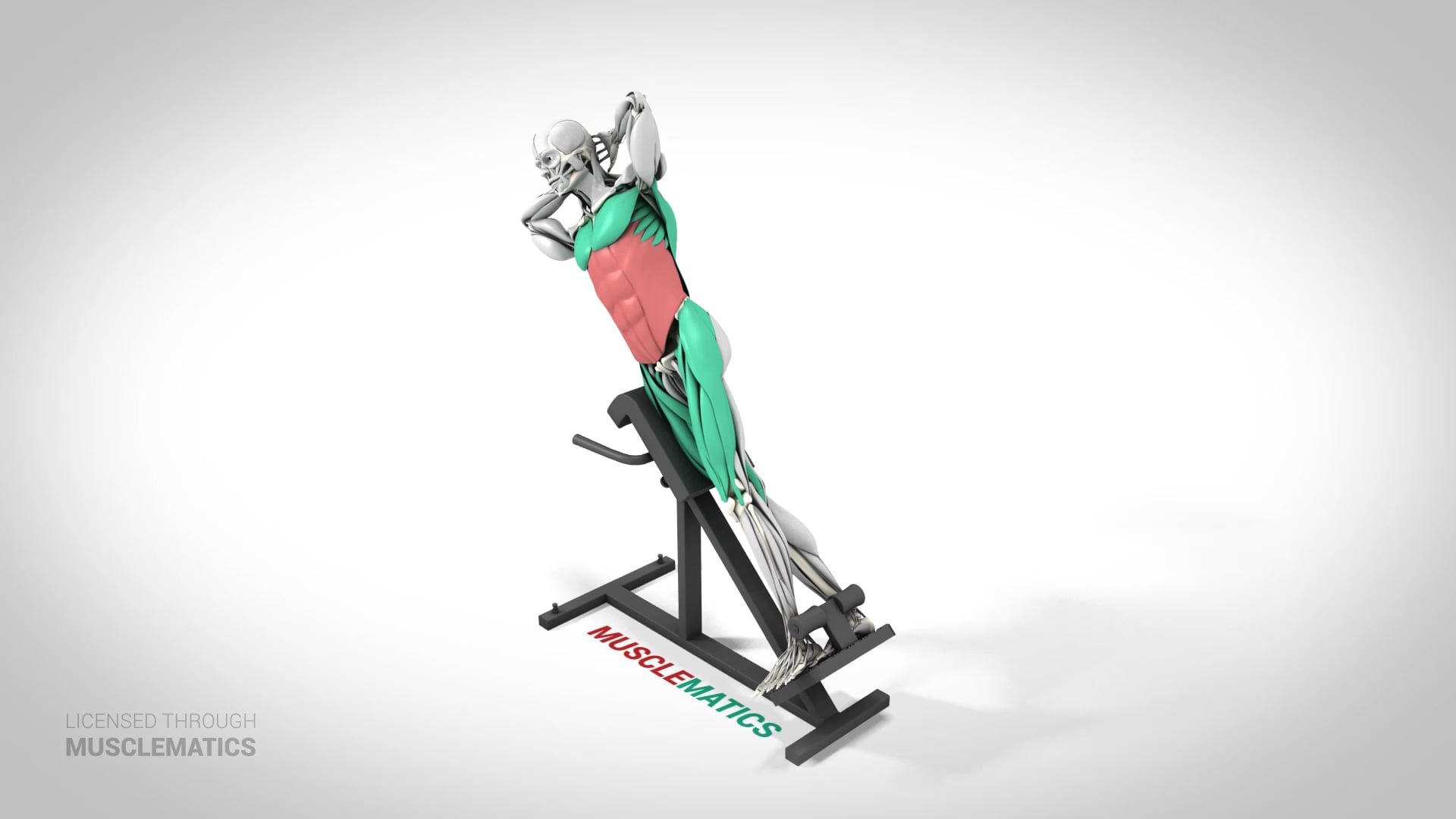 Roman Chair Side Bends - (View 2) - LEFT