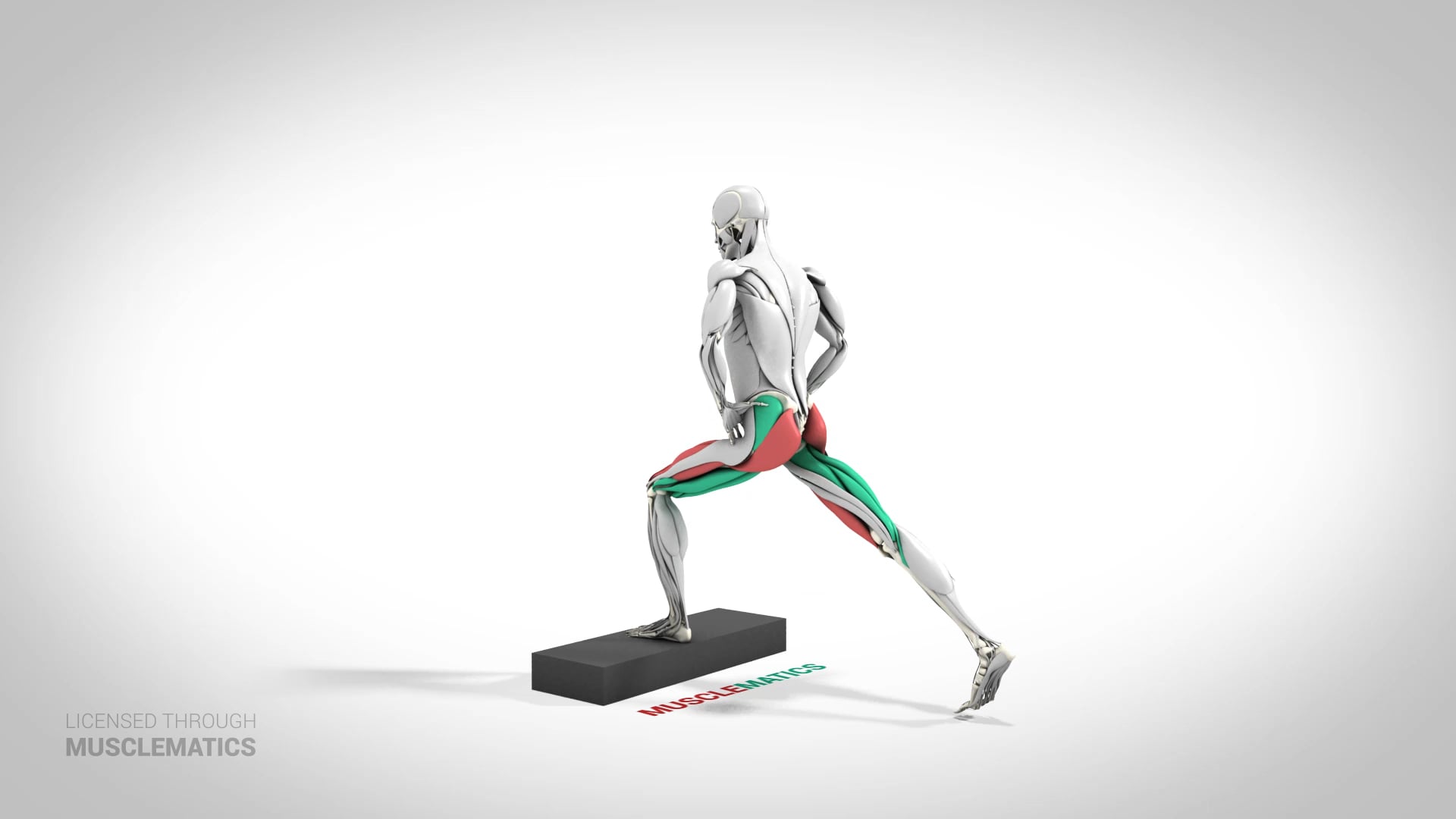 Step-Down Reverse Lunge - (View 3) - LEFT