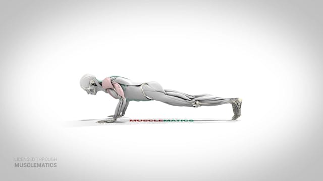 Side-To-Side Push-Up - (View 1) - LEFT