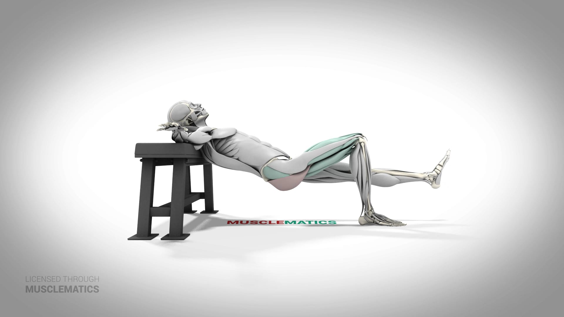 Single-Leg Incline Hip Thrust - (All Views)