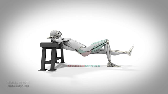 Single-Leg Incline Hip Thrust - (All ...