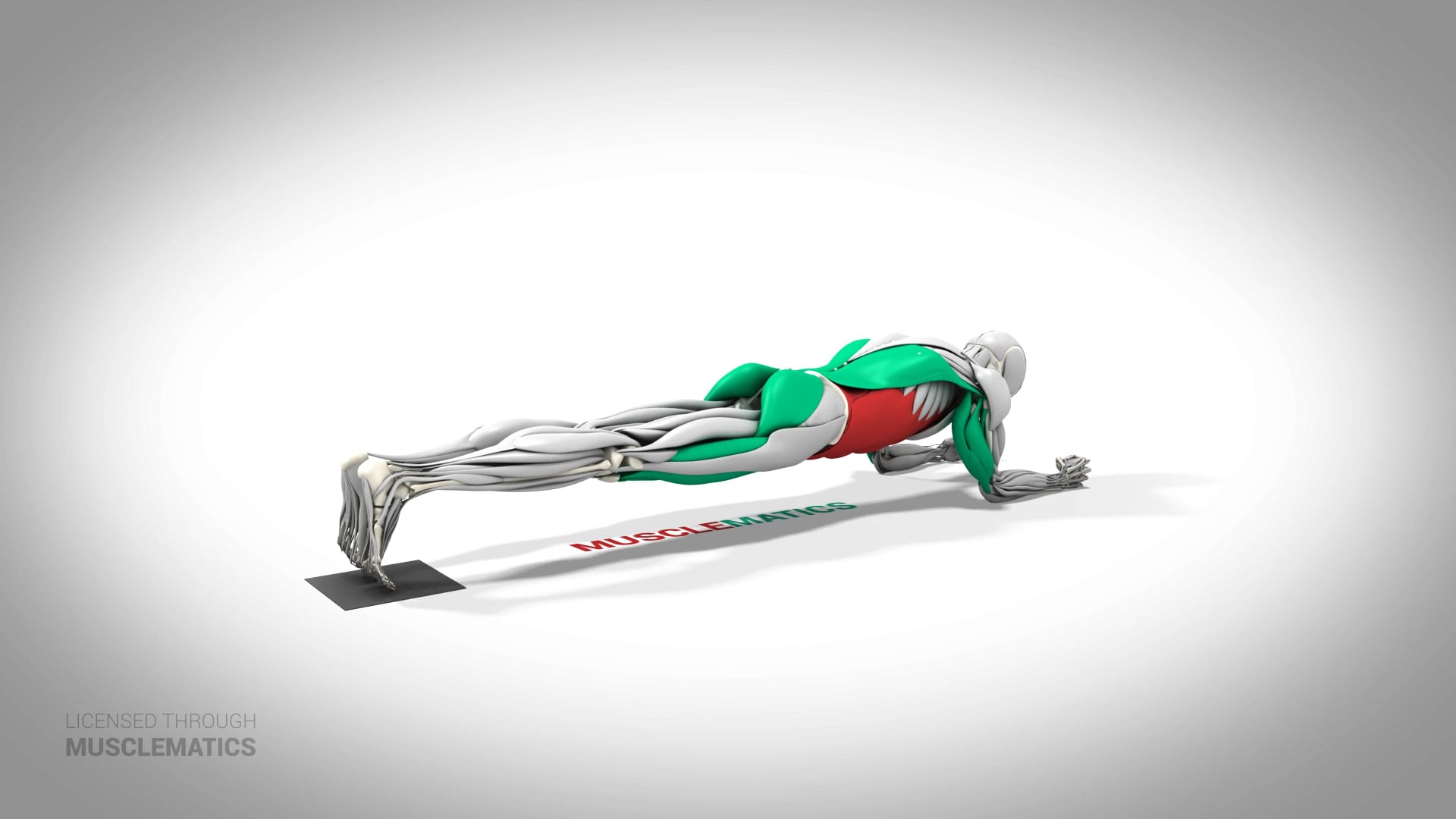 Sliding Body Saw - (All Views)