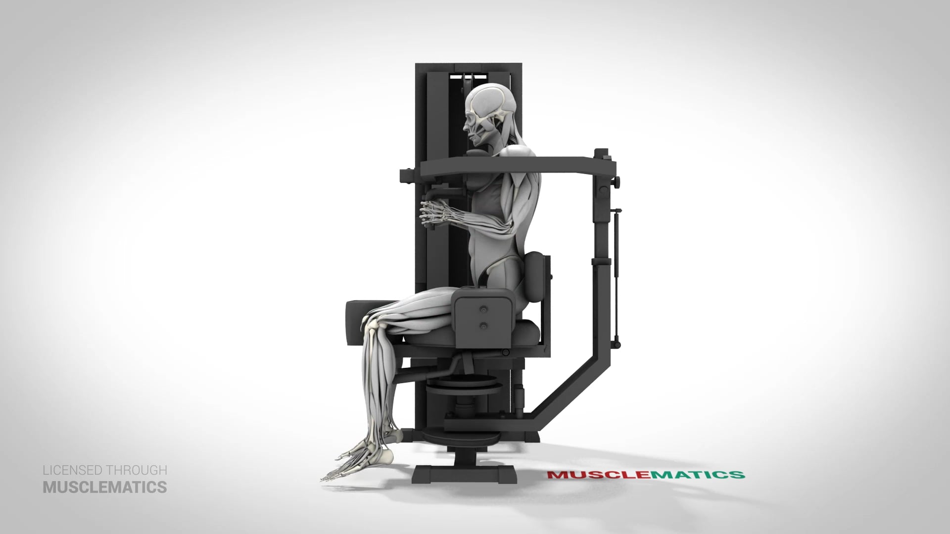 Machine Trunk Rotations - (View 2) - LEFT