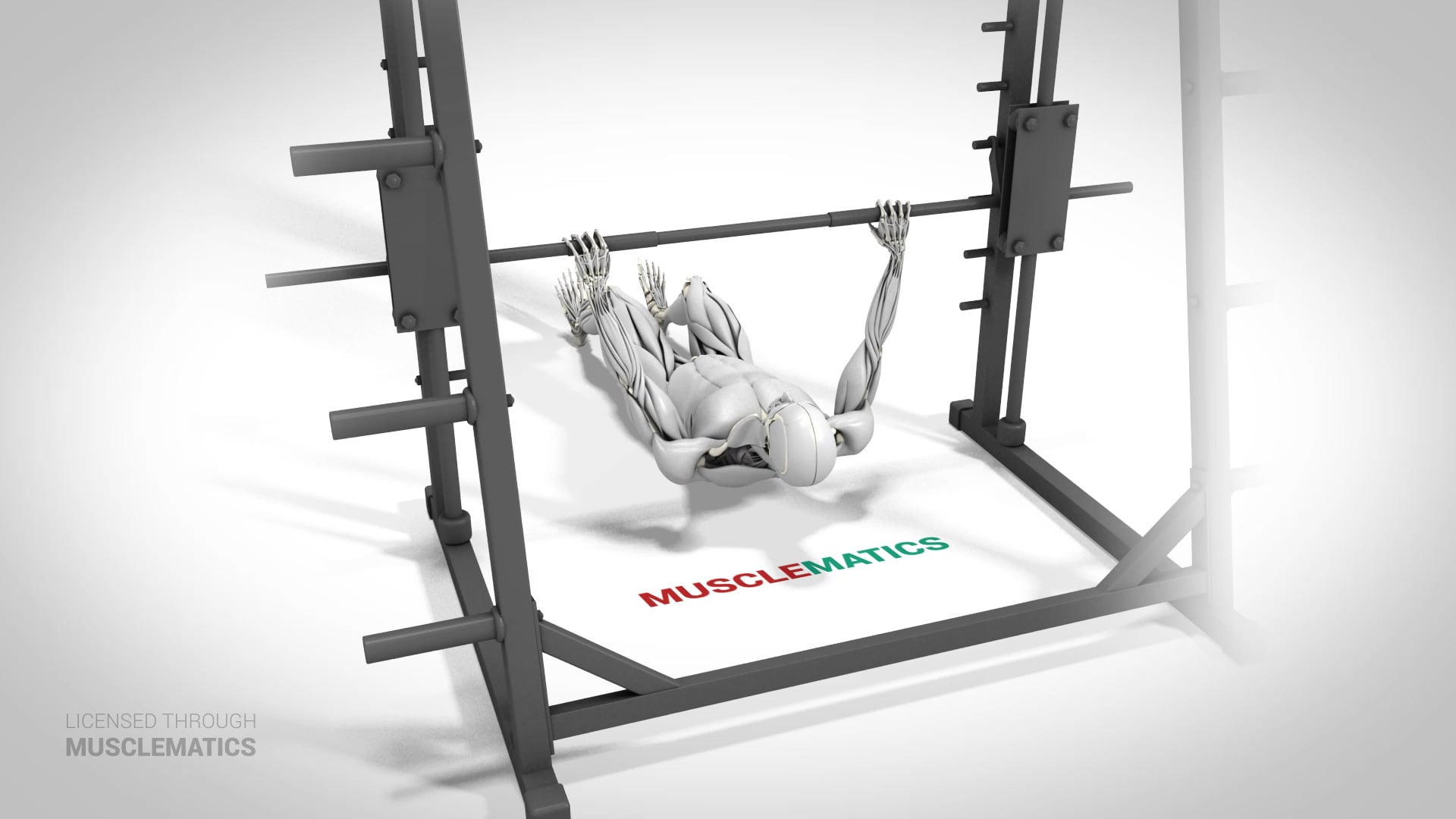 Side-To-Side Inverted Row - (View 2) - LEFT