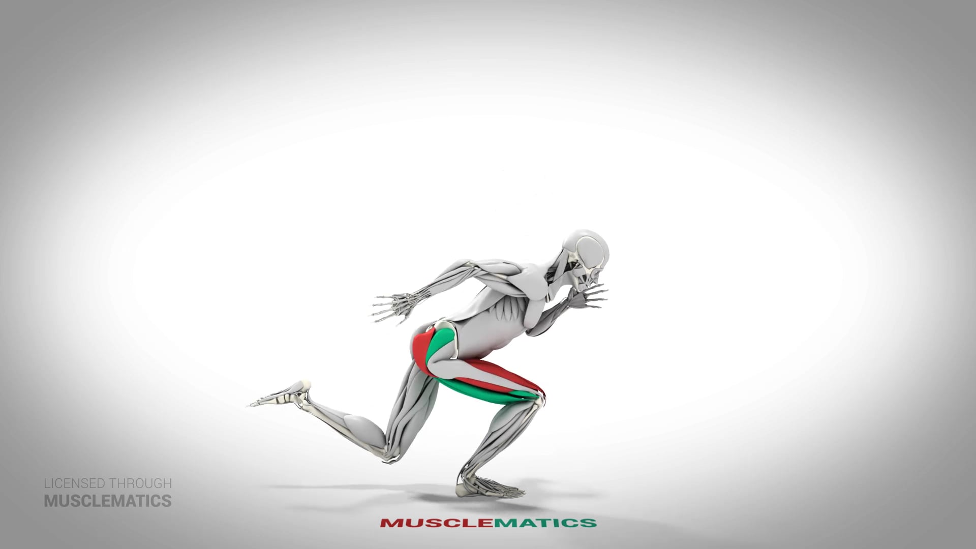 Skater Squat With Knee Raise - (All Views)