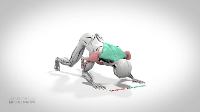 Push-Back Push-Up - (View 1)