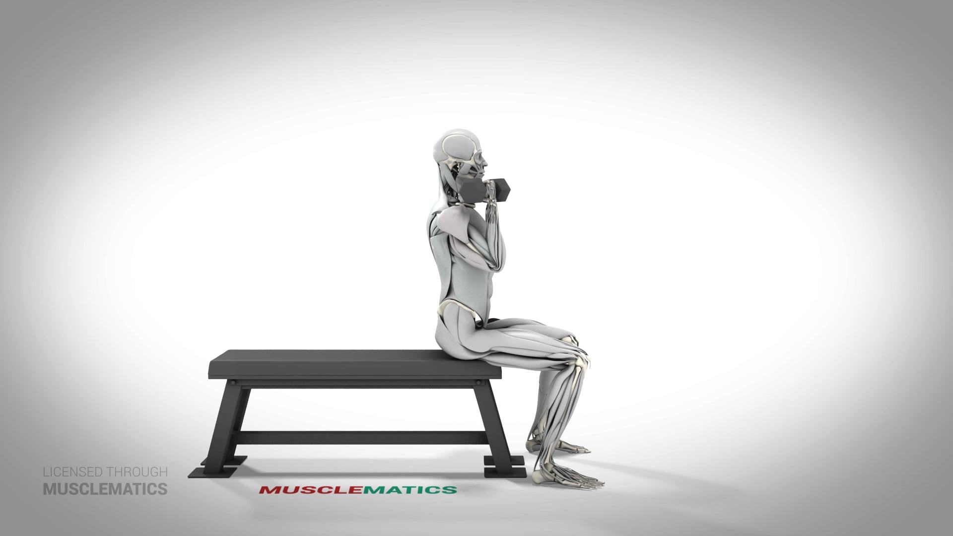 Front Dumbbell Presses - (All Views)