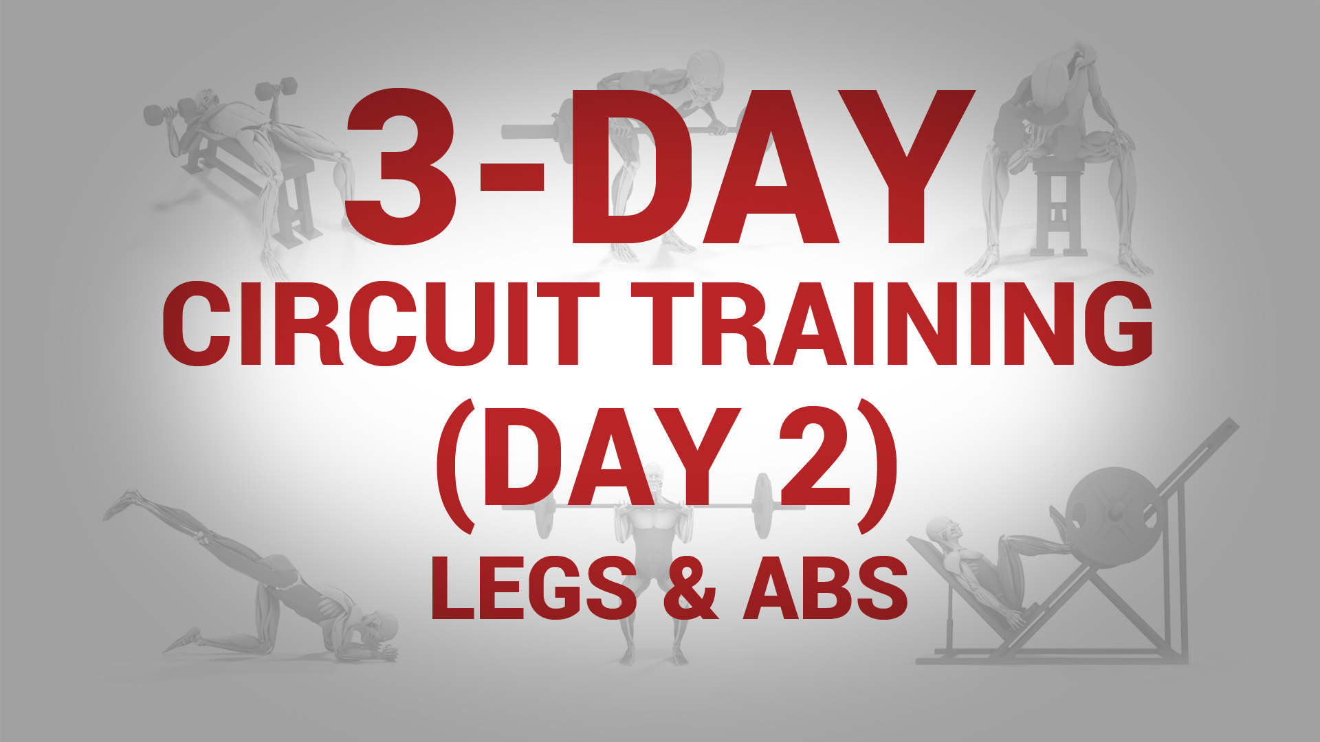 3-Day Circuit Training (Day 2) - LEGS & ABS