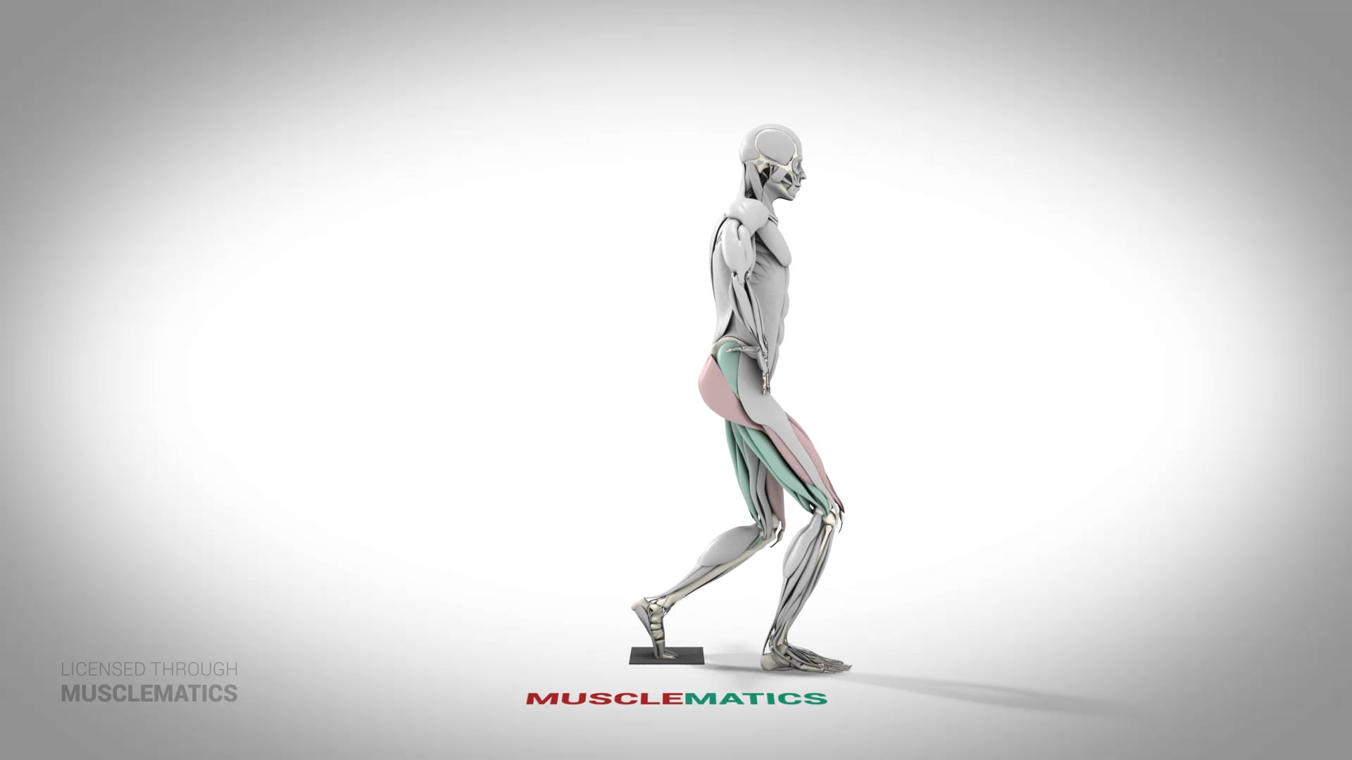 Sliding Lunge - (All Views)