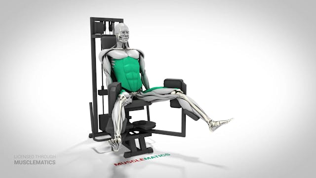 Seated Machine Hip Abductions - (View 3)