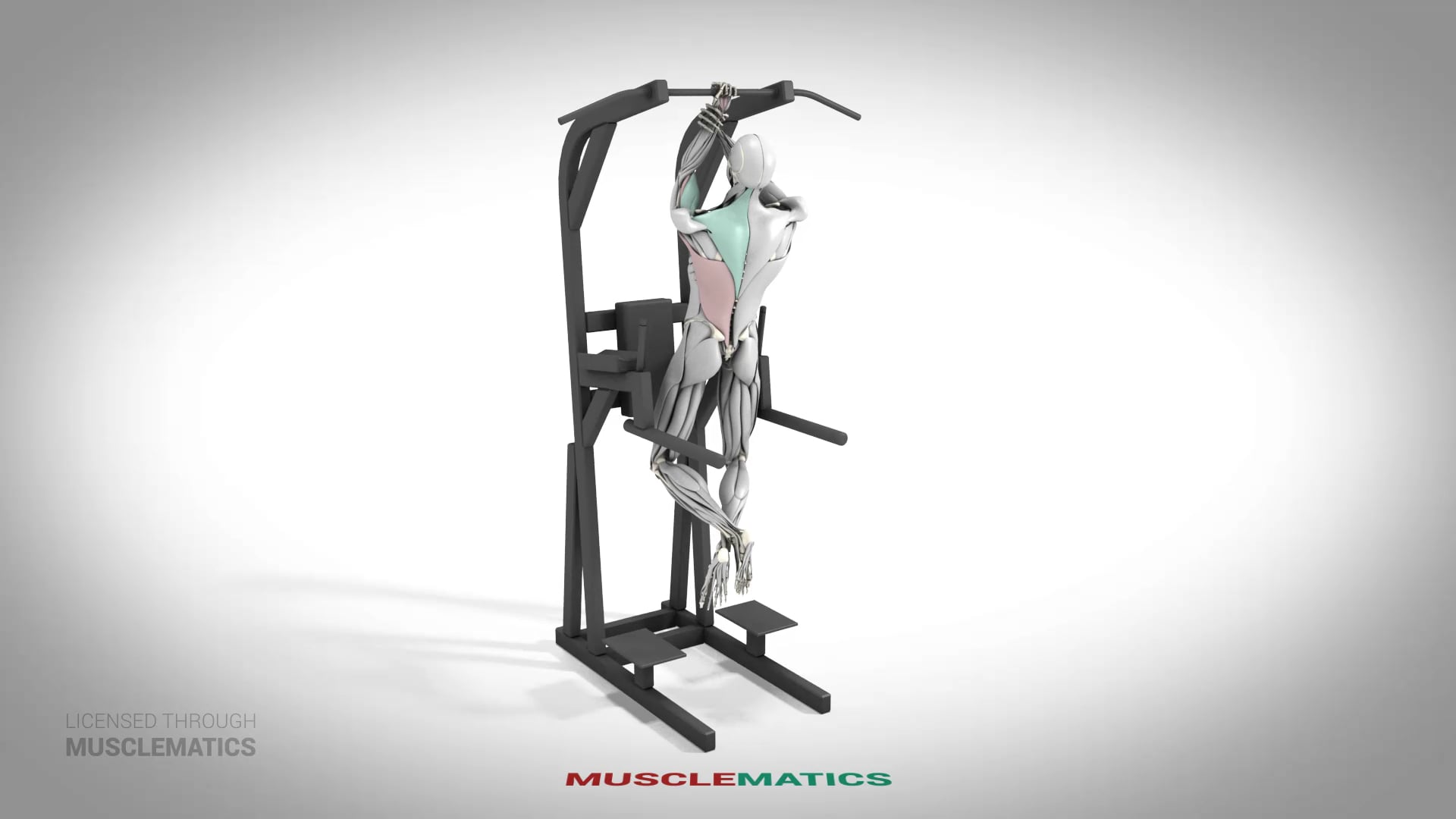 One-Arm Self-Assisted Pull-Up - (All Views) - LEFT