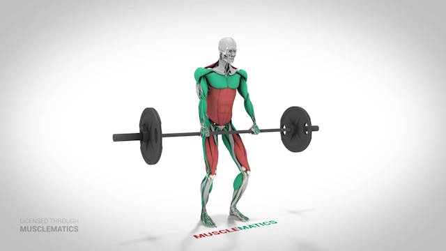 Deadlifts - (View 2)