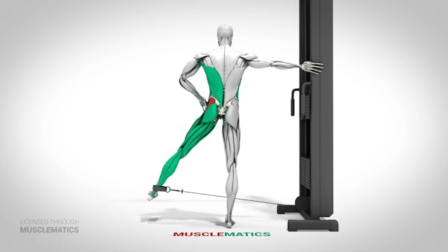 Cable Hip Abductions - (View 2) - LEFT