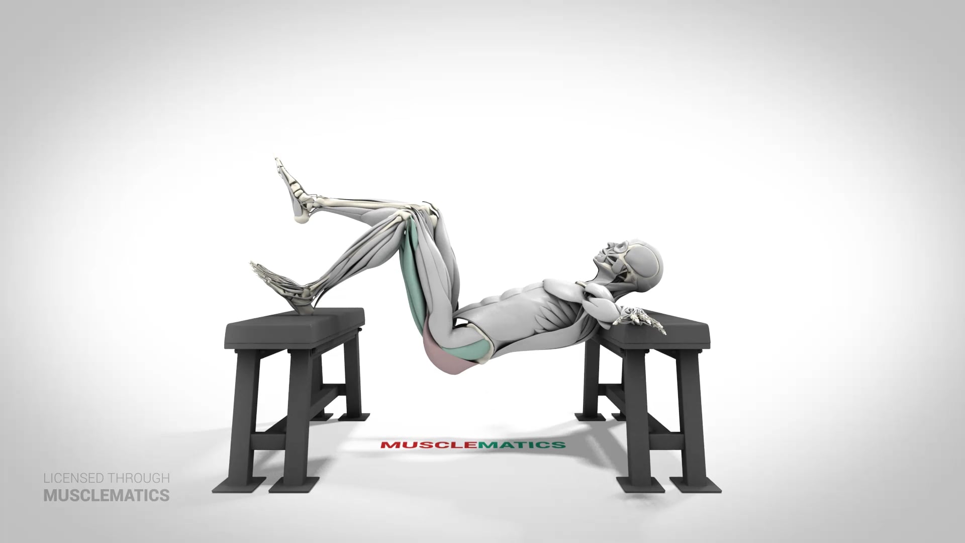 Single-Leg Elevated Hip Thrust - (View 1) - LEFT
