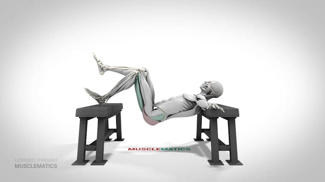 Single-Leg Elevated Hip Thrust - (Vie...