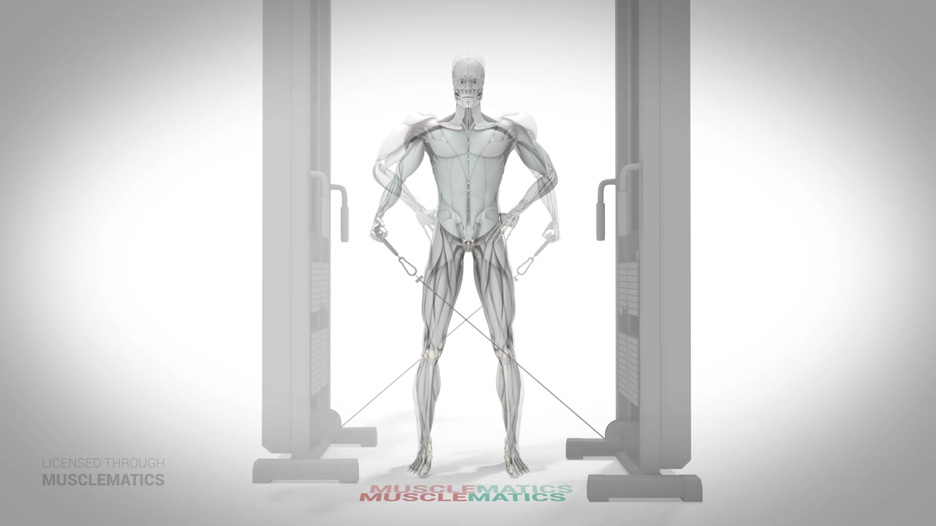 Low-Pulley Lateral Raises - (All Views)