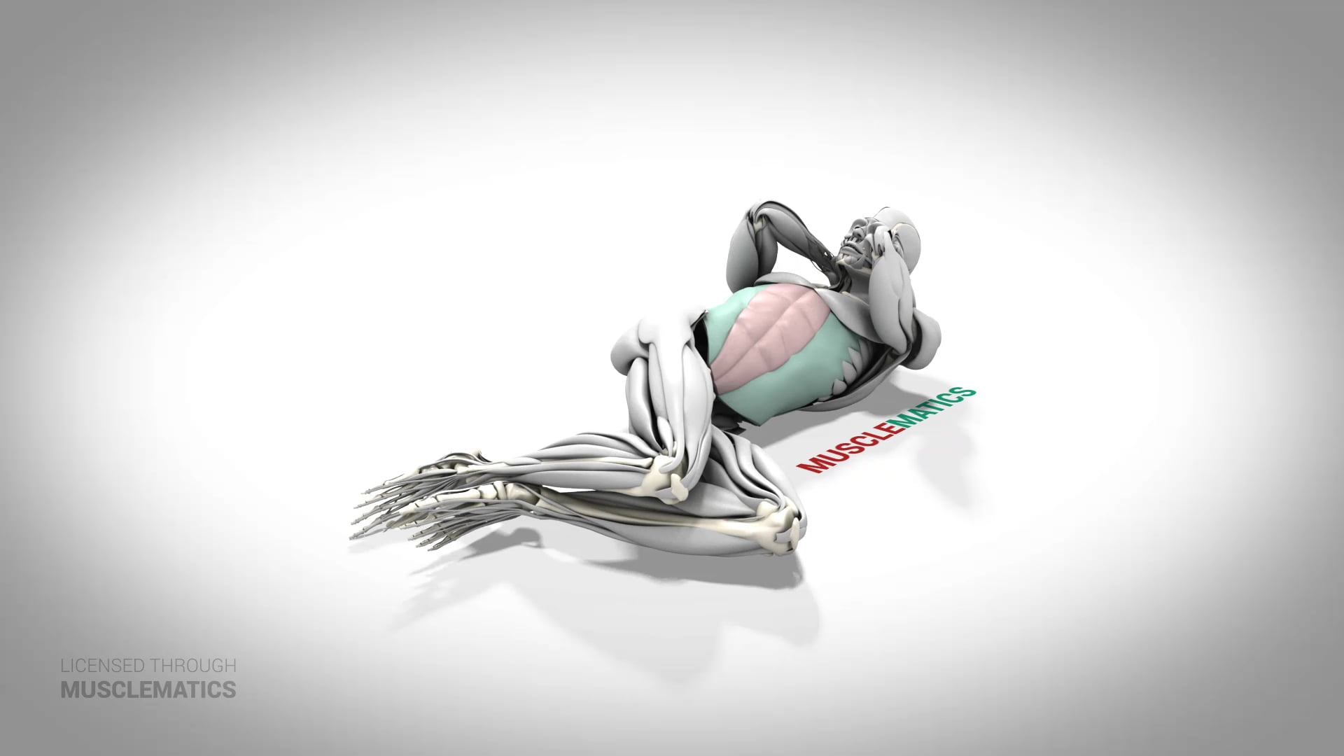 Side Crunch - (All Views)