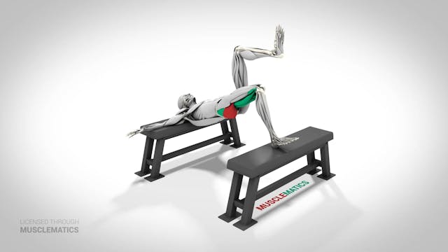 Single-Leg Elevated Hip Thrust - (Vie...