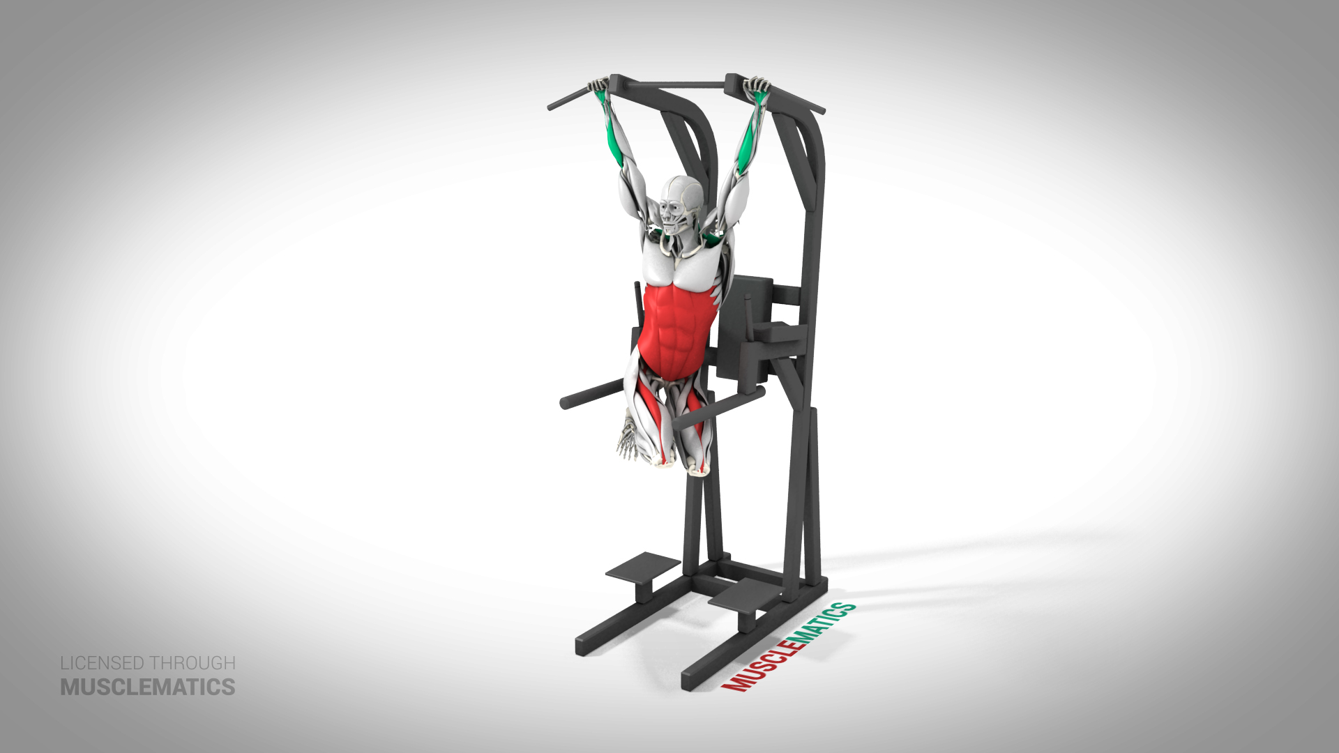 Oblique Hanging Leg Raise - (All Views)