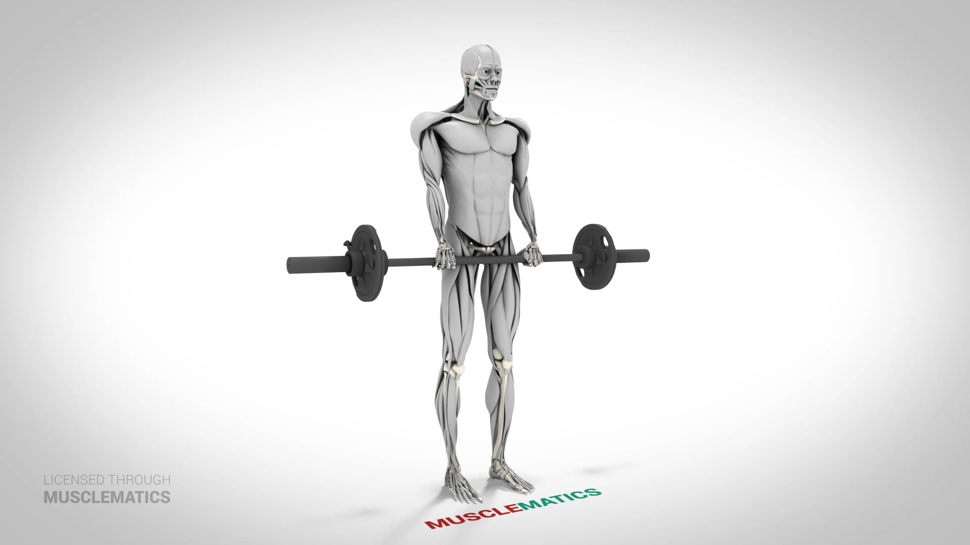 Reverse Curls - (View 3)