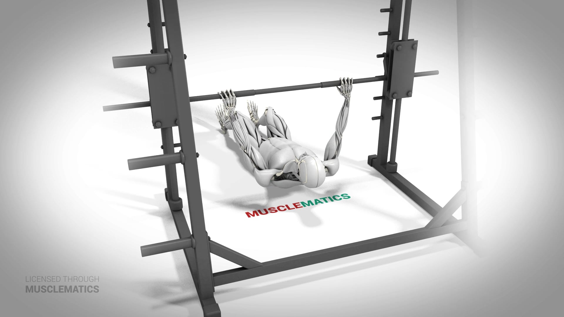 Sliding Side-To-Side Inverted Row - (All Views) - LEFT