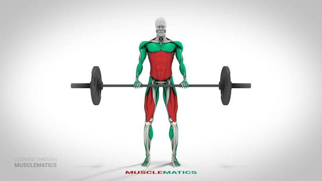 Deadlifts - (View 1)