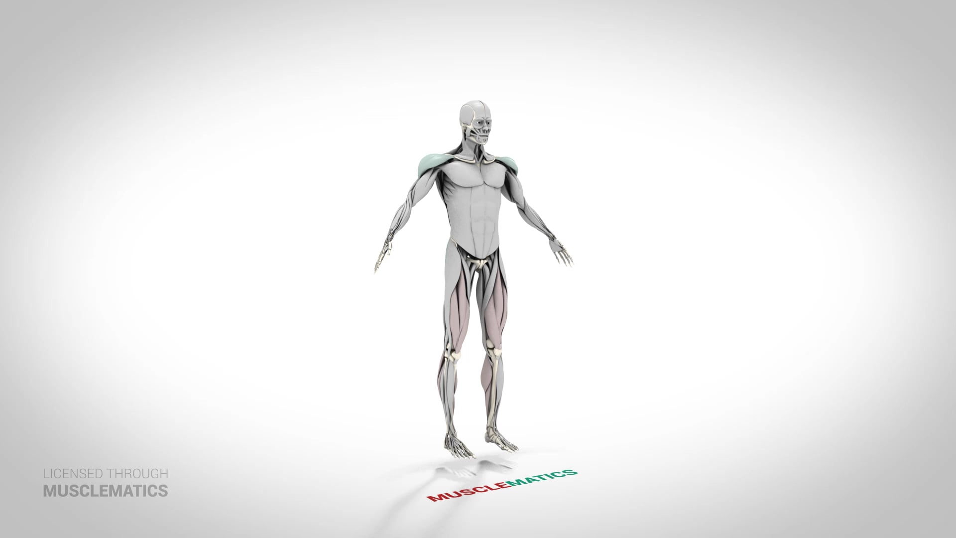 Jumping Jacks - (View 2)