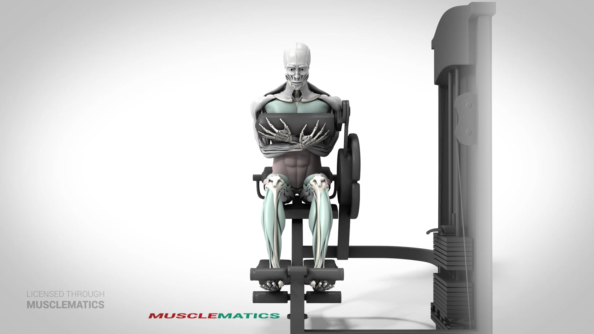 Machine Crunches - (View 1)